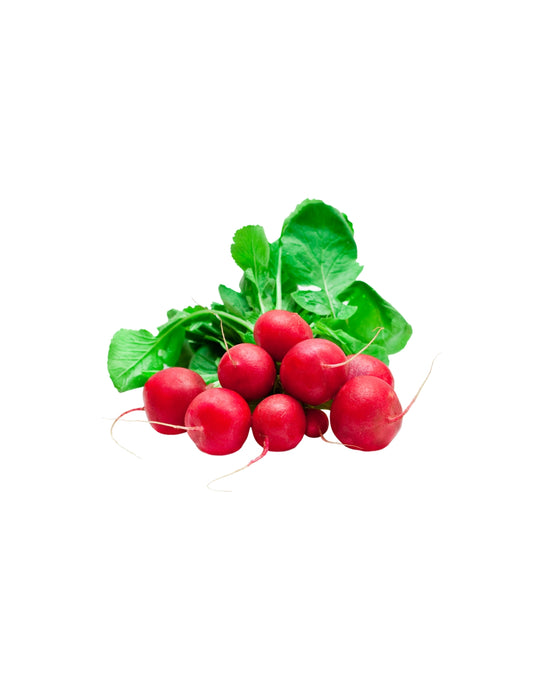 Radish