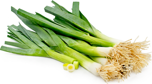 Leek