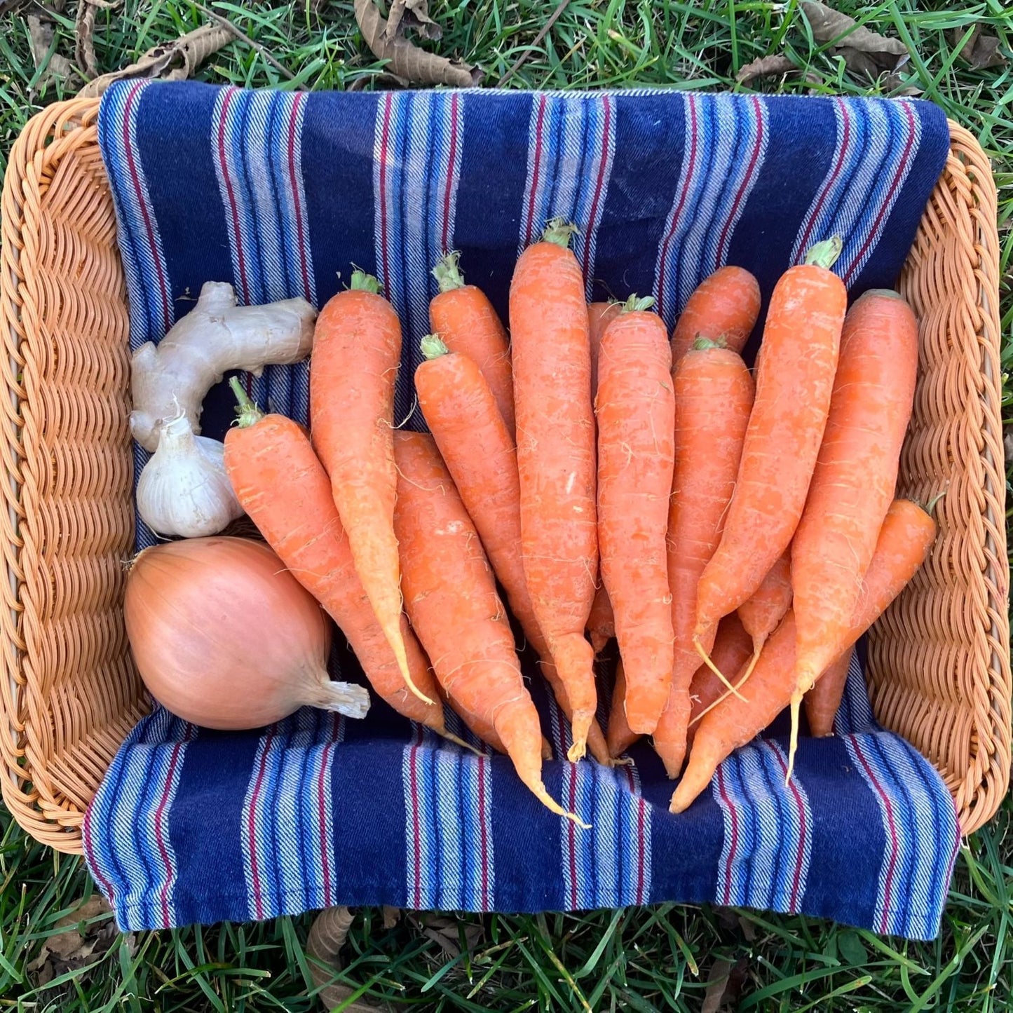 Carrot ginger soup pack