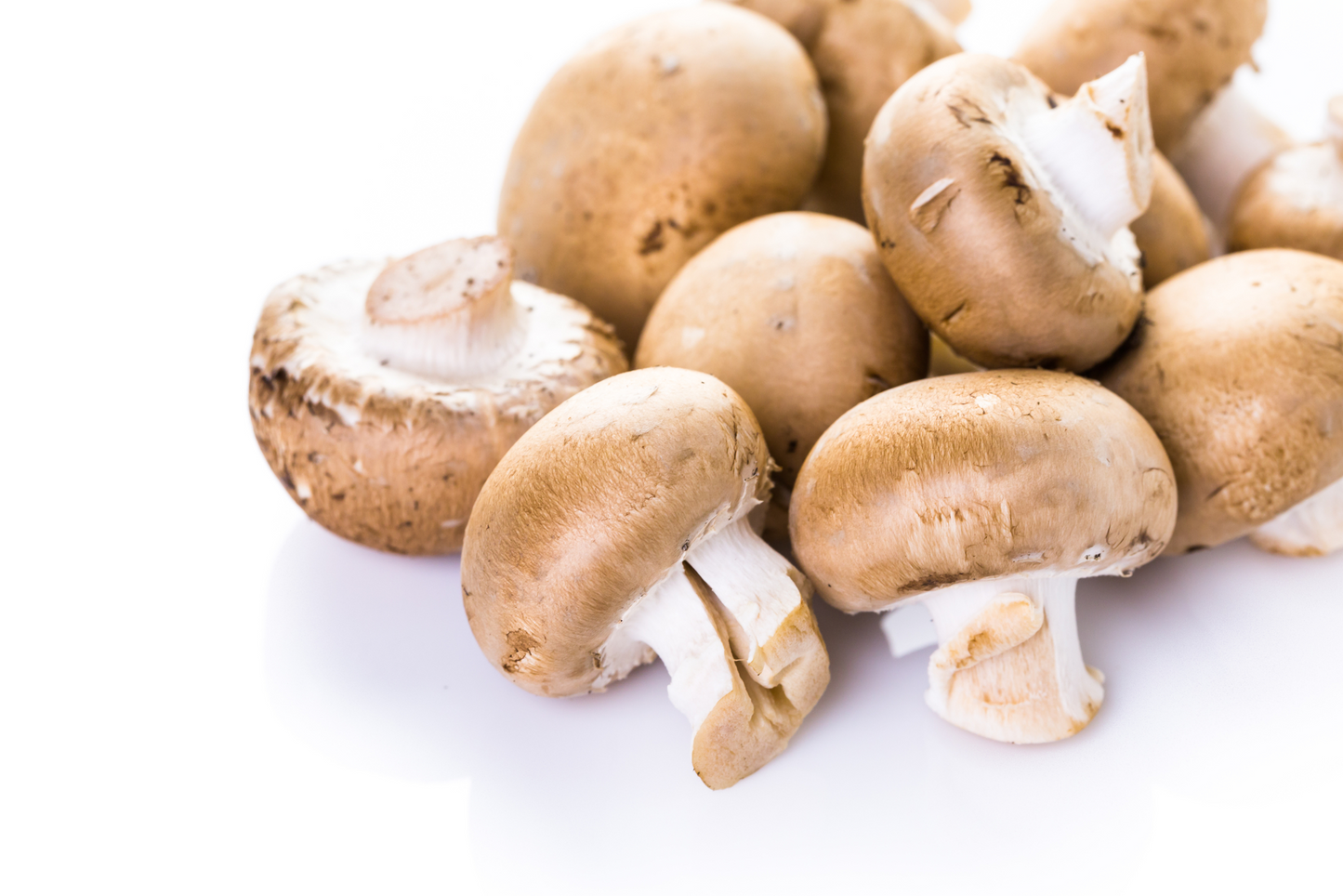 White/Mini Bella Mushrooms