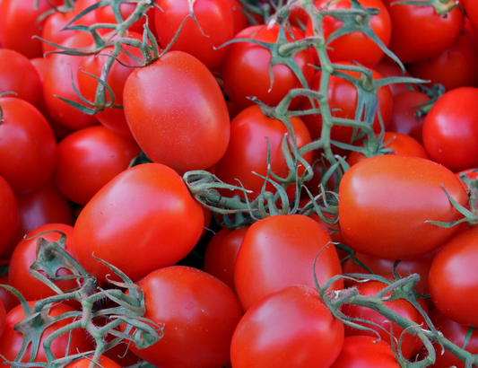 Roma Tomato