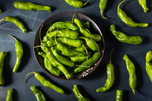 Shishito Hot Peppers